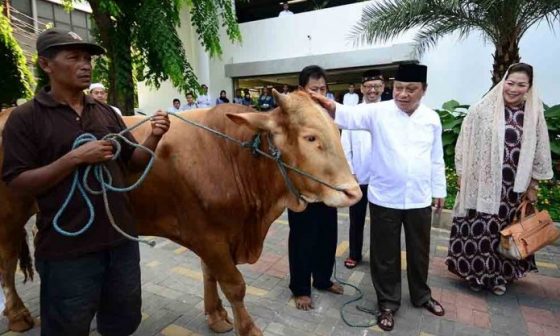hari raya qurban