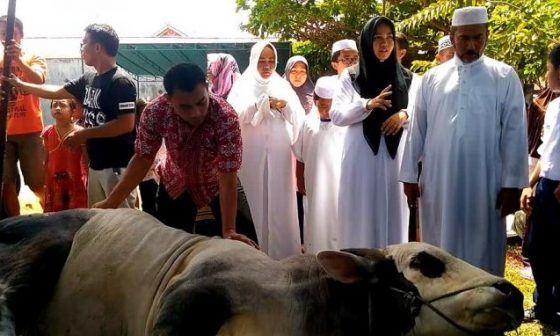 ketentuan qurban dan aqiqah