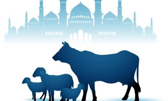 perbedaan qurban dan aqiqah